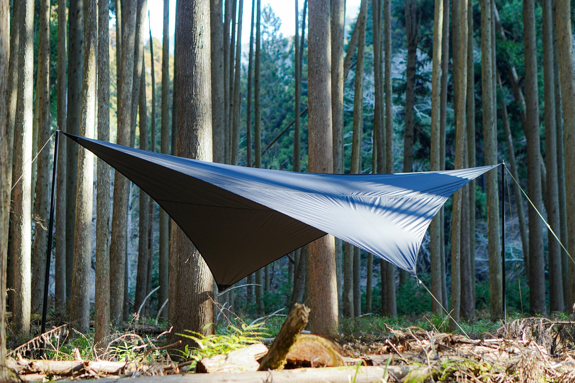 焚火と相性抜群のウイングタープ「TokyoCampブラックフェニックス 焚火と相性抜群のウイングタープ「TokyoCampブラックフェニックス