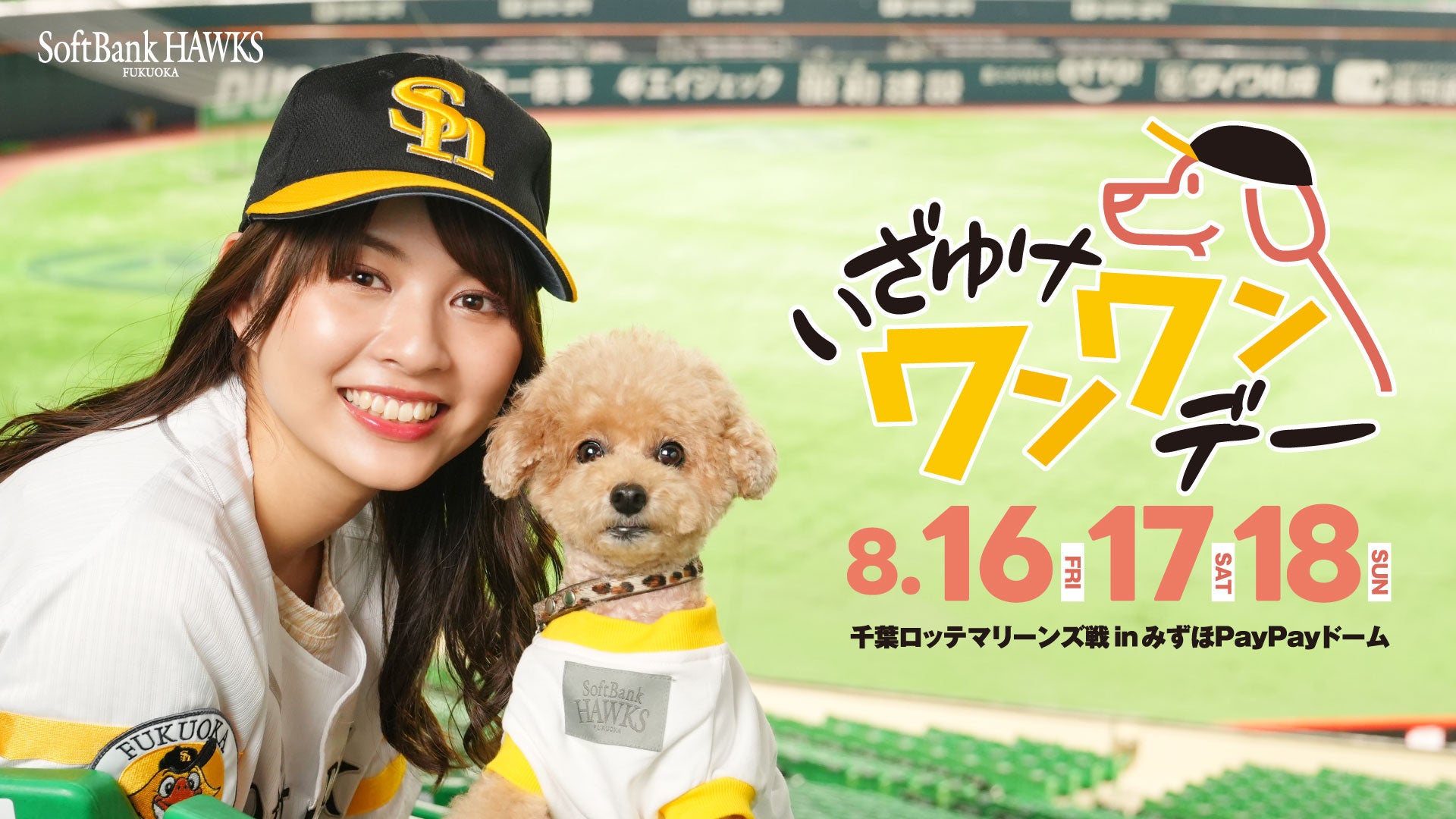 野球 観戦チケット 阪神×ソフトバンク 6/16 たっ PayPayドーム