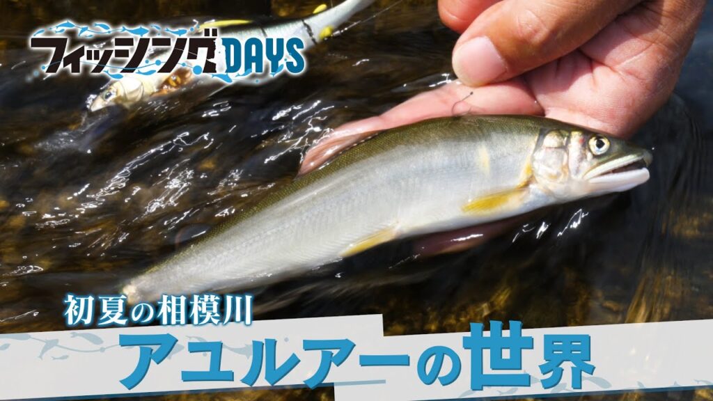 フィッシングDAYS「初夏の相模川　アユルアーの世界」