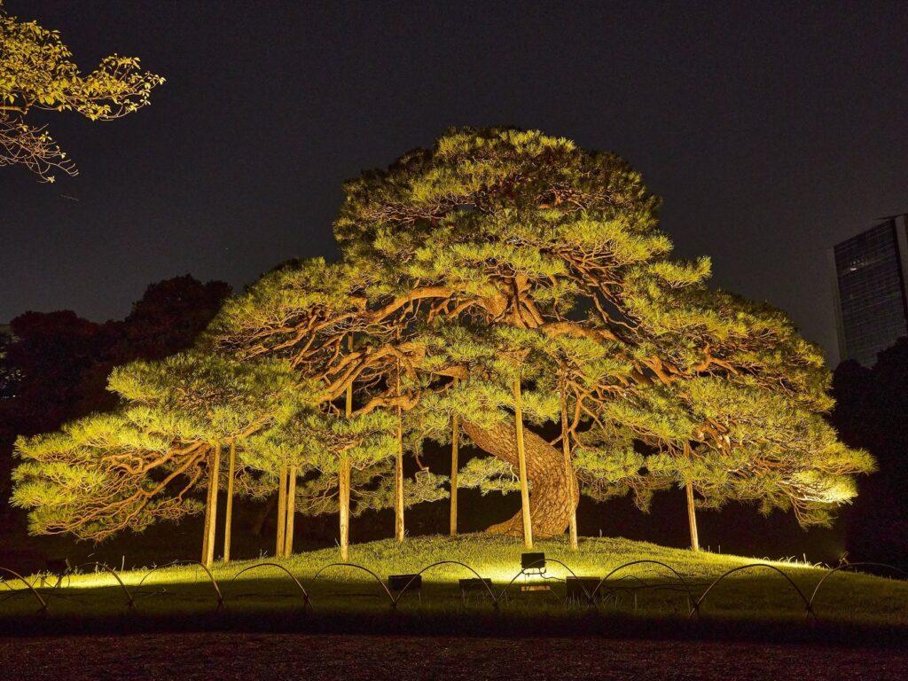 東京ドームシティ×小石川後楽園コラボ前回開催より公開エリアを拡大して、『夜間特別開園 秋の夜長の小石川後楽園』開催決定！2024年9月27日（金）～10月6日（日） 【10日間】 期間限定