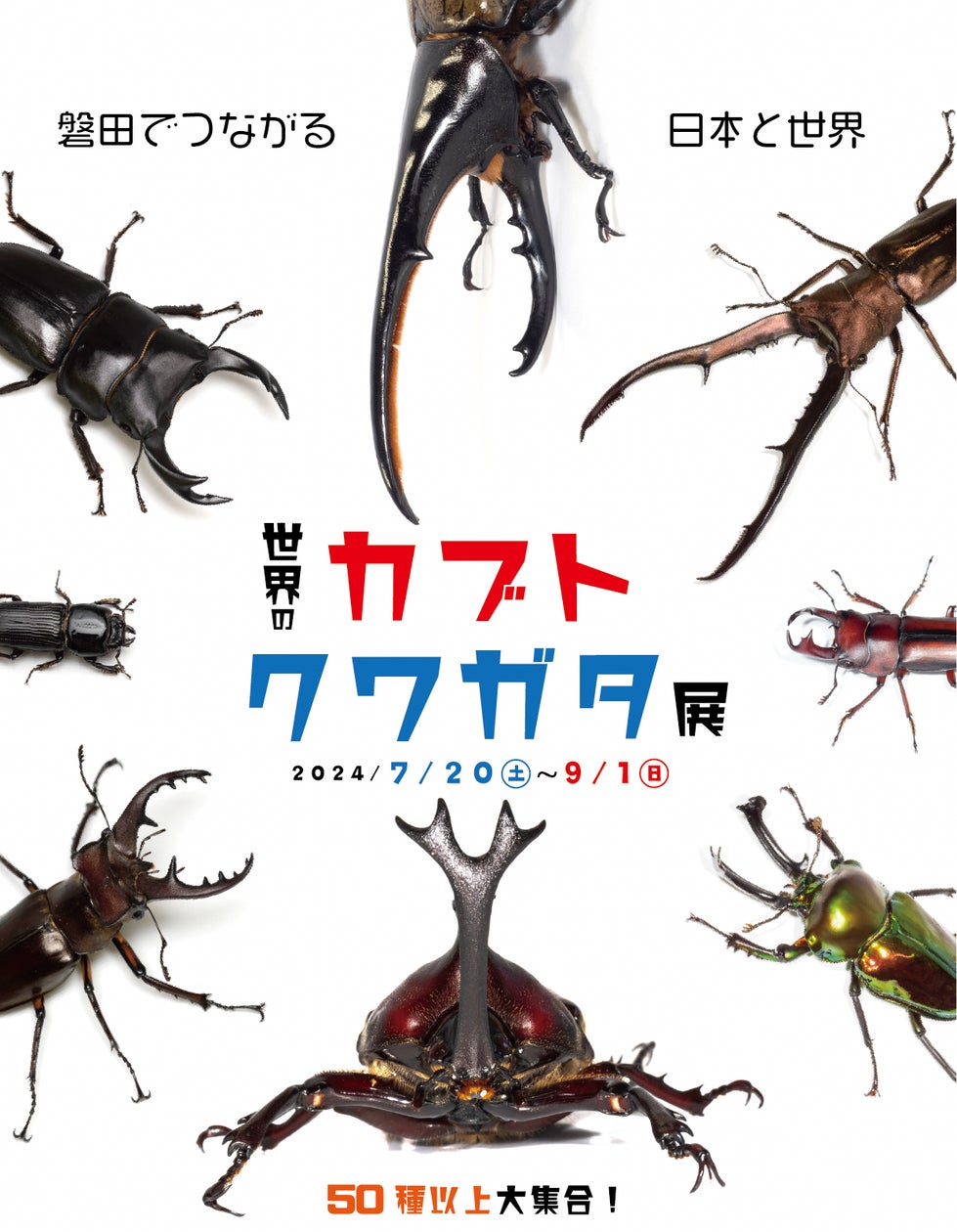 子どもたちに大人気のカブトムシ、クワガタムシが世界から大集合「世界のカブト・クワガタ展」 - SPOGEL