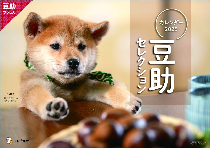 もはや年末の風物詩!!2025年版「豆助カレンダー」が今年も発売決定！豪華な特典も決定！