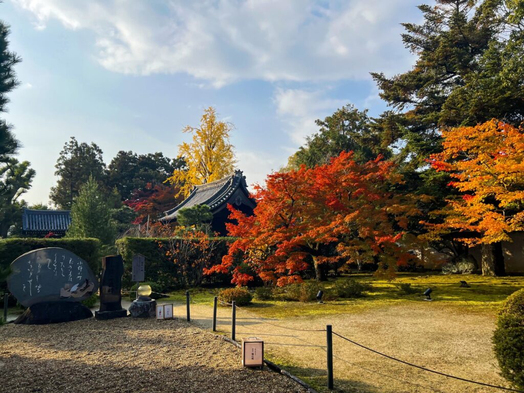 初開催！ 小野小町ゆかりの寺『大本山 隨心院』を光と和傘で彩る秋の紅葉イベントがスタート！