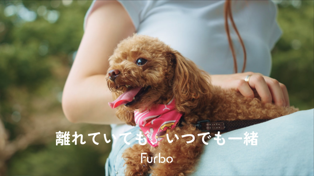 ペットカメラブランドFurboが、新Web CMを公開！「働く飼い主と愛犬との絆」を描いたストーリーを紹介