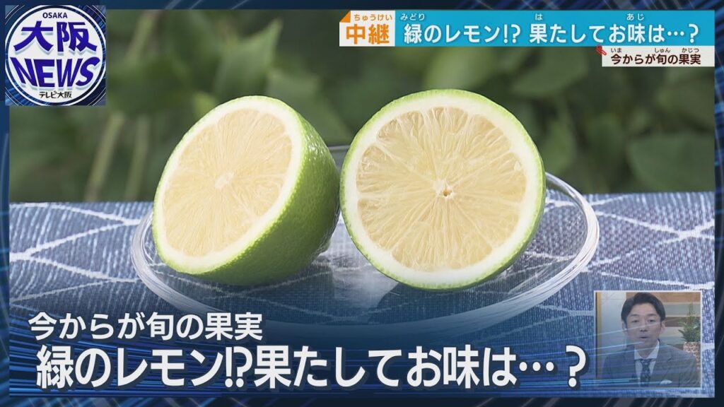 【京の秋の新味覚】市場には出回らない希少な京檸檬　黄色と緑　どっちのレモンがすっぱい？