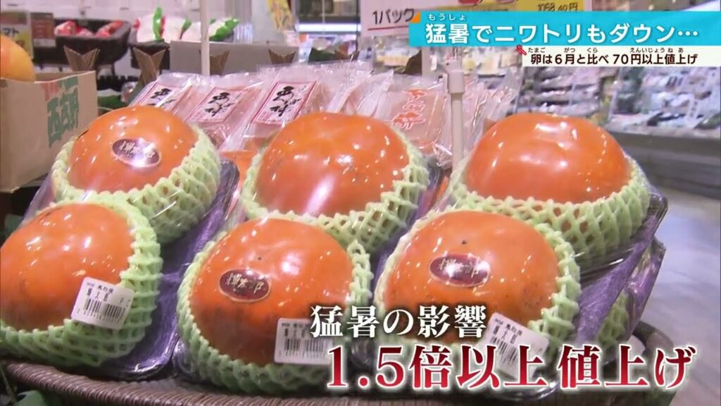 【じわじわ家計に】野菜・卵の高騰続く…秋の味覚も値段が1.5倍に