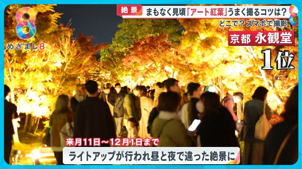 【シーズン到来】紅葉を上手にスマホで撮影するコツをプロが伝授！ “まるでアート” 全国紅葉ランキング紹介【めざまし８ニュース】