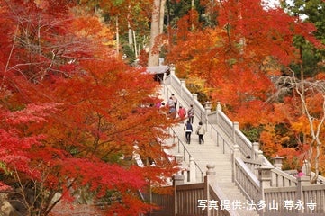 まだ間に合う！今こそ行きたい！秋・冬の絶景スポットやご当地グルメ　知る人ぞ知る　静岡県西部・中部の秋・冬のおすすめ情報