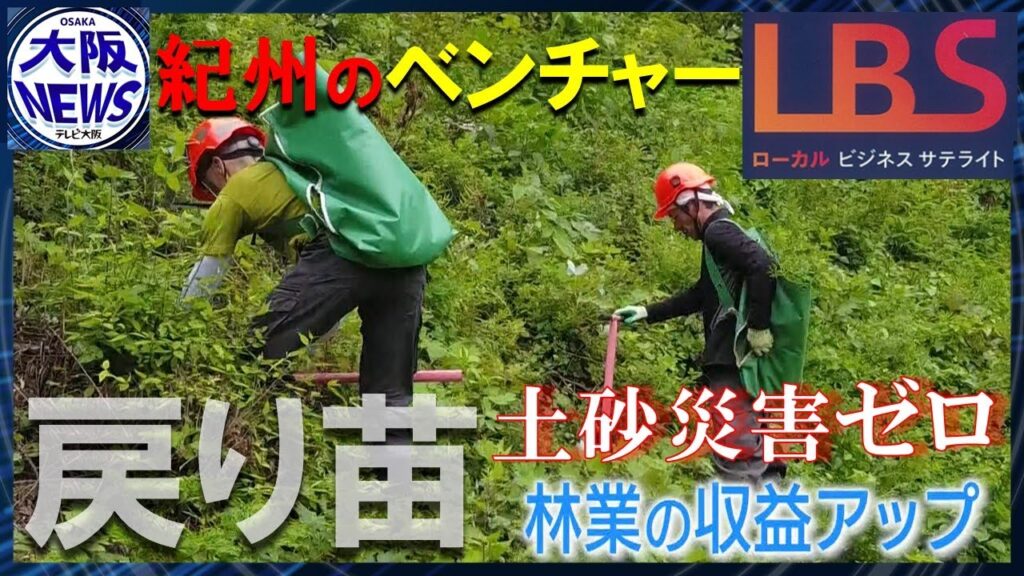 【28歳女性社長が仕掛ける】手ざわりのある林業支援「戻り苗」のうまい仕組み