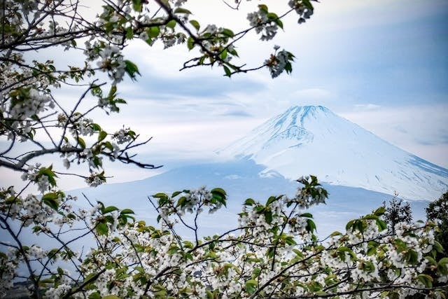 New Open　富士山のふもとで特別なひと時を！「Fujisan Charm」～ロケーションフォト＆和食ランチ＆日本の文化体験プランのご案内～