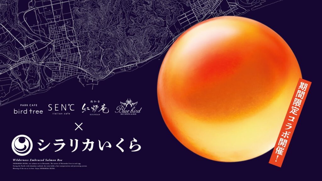 [株式会社オペレーションファクトリー]北海道 白糠町産の希少な生いくら「シラリカいくら」を使用した特別コラボレーションメニューを大阪の直営4店舗にて期間限定で販売