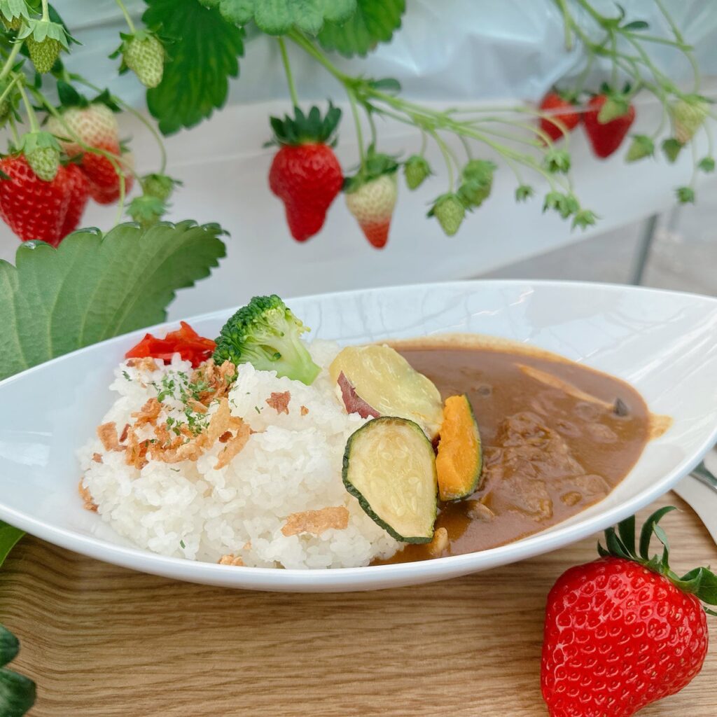 滋賀県守山市のいちご農園が「いちご農園の本格いちごカレー」を新発売！