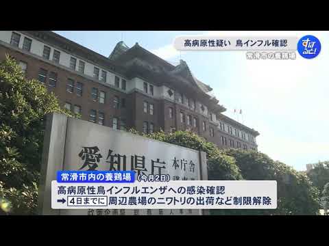 養鶏場のニワトリから…愛知県常滑市で鳥インフルエンザを確認 高病原性の場合約12万羽を殺処分へ