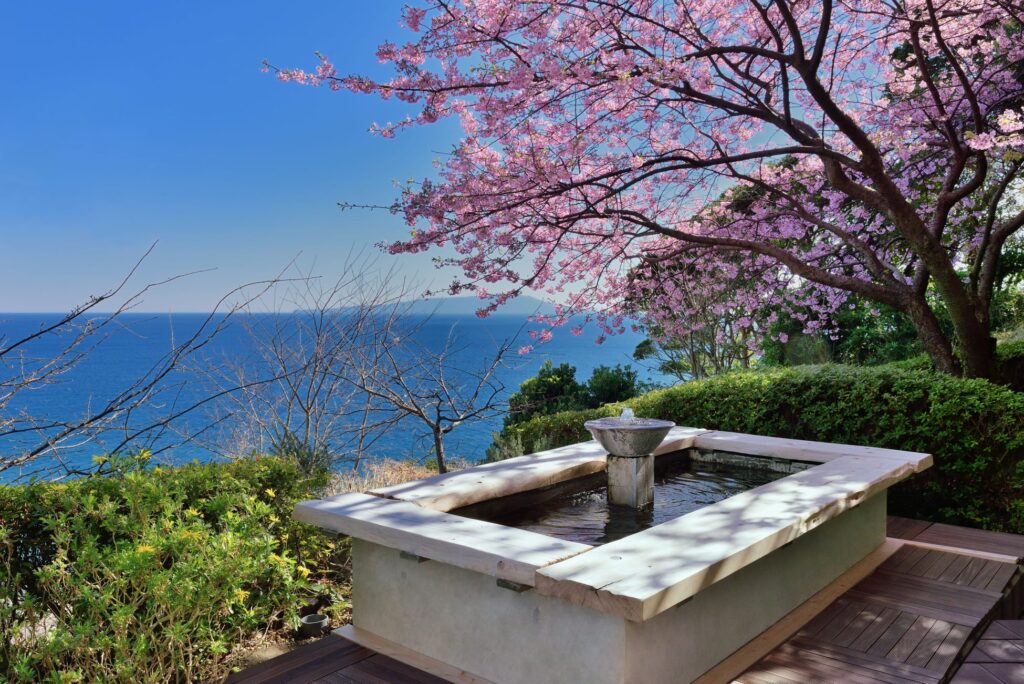 【伊豆・熱川温泉 粋光】2月初旬に開花し始める河津桜を満喫、冬季限定「河津桜と美酒を楽しむ貸切露天風呂付プラン」の販売を開始