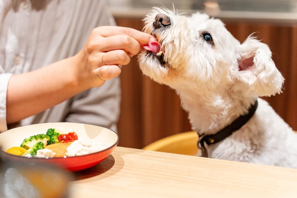 犬と泊まれる宿泊予約サイト「いぬやど -inuyado-」、広告サービス「いぬやどAD」を本格スタート