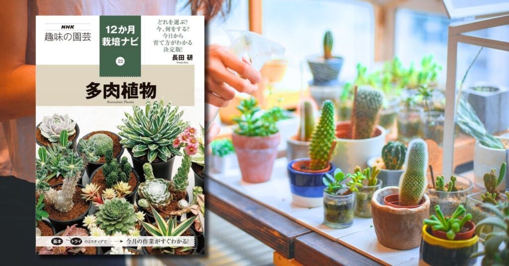 多肉植物を育てる人のための決定版！『NHK趣味の園芸　12か月栽培ナビ㉒　多肉植物』8月19日発売！