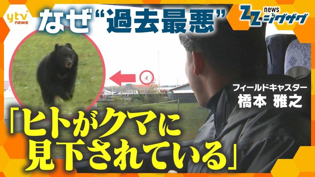 取材班がクマに遭遇｢窓を閉めて｣…独自追跡＆分析で迫る“過去最悪クマ被害”の原因と異変【ニュース ジグザグ】