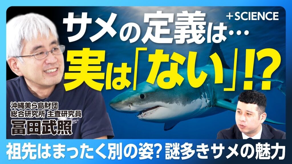 【「定義不可能」常識が覆るサメ研究の現在】サメは”生きた化石”なのか｜サメの祖先は「まったく違う姿」｜サメ研究者を悩ます”新発見”｜研究者の今の見解は…【冨田武照】