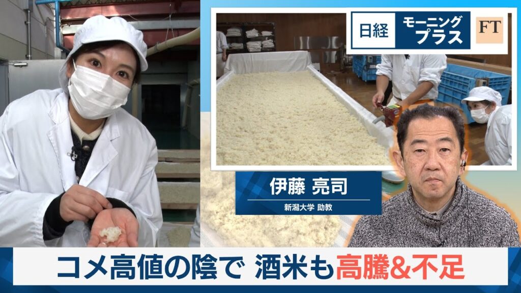 コメ高値の陰で　酒米も高騰＆不足【日経モープラFT】