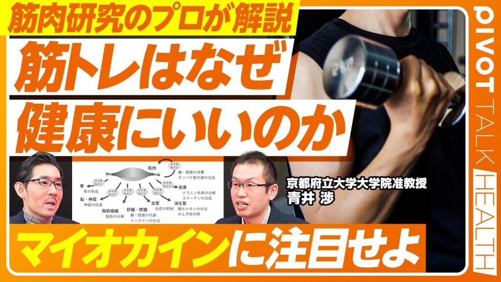 【筋肉研究のプロが解説：筋トレはなぜ健康にいいのか？】筋肉の種類／遅筋と速筋／運動神経は遺伝子で決まるのか？／筋トレの適量は？／筋肉の記憶／マイオカインとは何か？／スクワットと握力が健康長寿のカギ