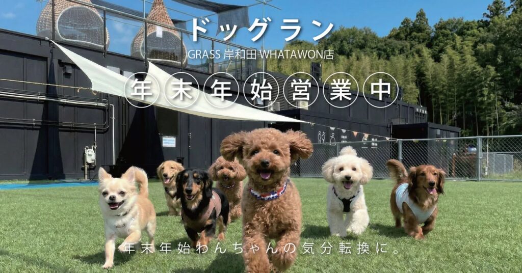 お正月も利用可能に！ドッグラン開放で叶える、わんちゃんと過ごす特別な年末年始。