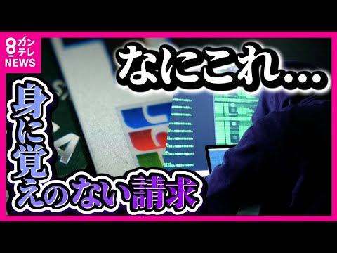 【ツイセキ】一体なぜ？金庫に入れてもカード情報がバレる「クレジットマスター」の手口 「身に覚えがない請求」　過去最悪の『カードの不正利用』　2023年の被害額は約540億円〈カンテレNEWS〉