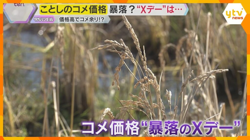 ことしのコメ価格はどうなる…「高値」が続いていたコメの価格が暴落？消費が鈍り“コメが余る”事態も