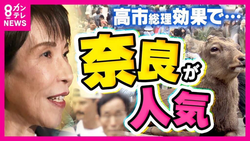 “サナ活”で盛り上がる奈良　高市総理カード付きの「サナ活ランチ」　土産物店ではグッズがずらり　追い風の一方で逆風も｜newsランナー〈カンテレNEWS〉