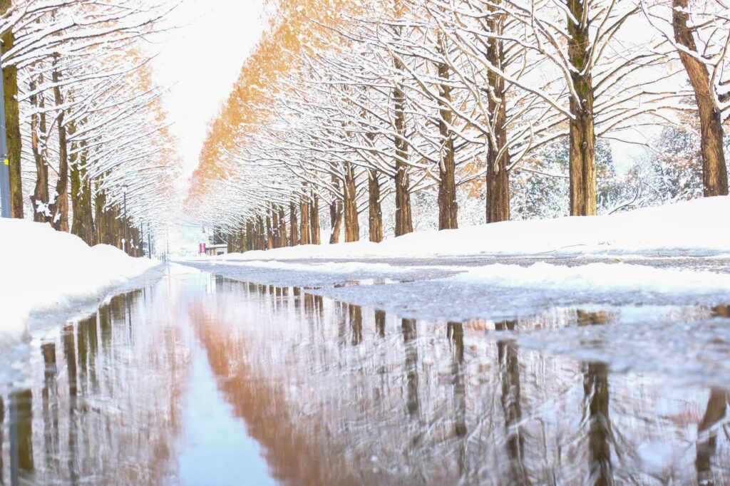 休暇村近江八幡主催バスツアー「近江をとことん楽しむ～ビワイチ100選巡り～」を2月25日より2泊3日で実施　～休暇村スタッフ厳選！近江を堪能するバスツアー～