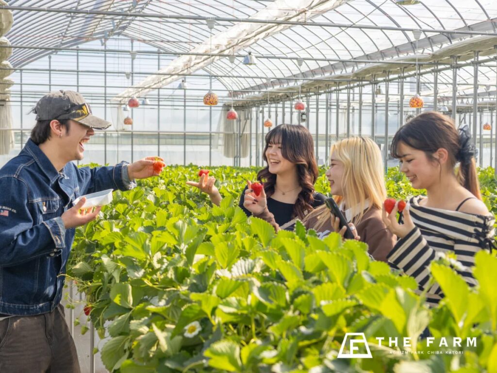【3月平日限定】学生証提示でグループ全員いちご狩り無料。グランピング・BBQ・天然温泉・サウナまで一日満喫できる「学生応援プラン」予約開始