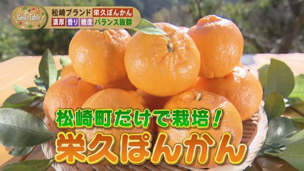 SmileTable～幻のポンカン「栄久ぽんかん」～