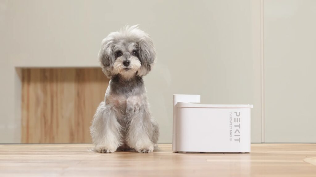 世界で500万人が愛用するペット家電ブランド PETKIT（ペットキット）が、バッテリーで最大83日間稼働するコードレス自動給水機を、日本最大級のペットイベント「インターペット東京」で発売します。