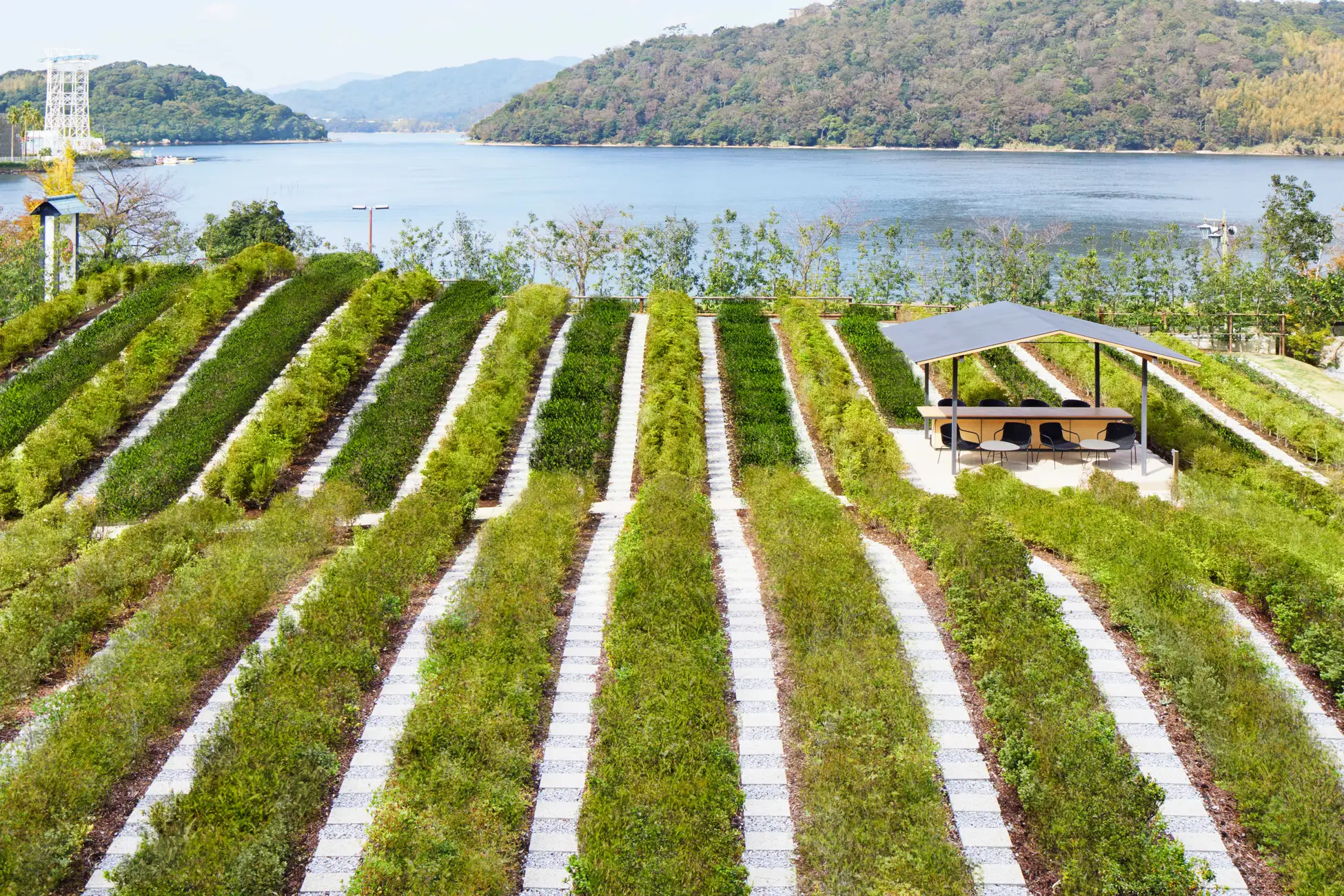 【界 遠州】8年越しの新茶、ついに解禁！ 温泉旅館内で栽培された新茶を手摘み・手揉みを行い、究極の一杯を味わう「五感で愉しむお茶作り」初開催