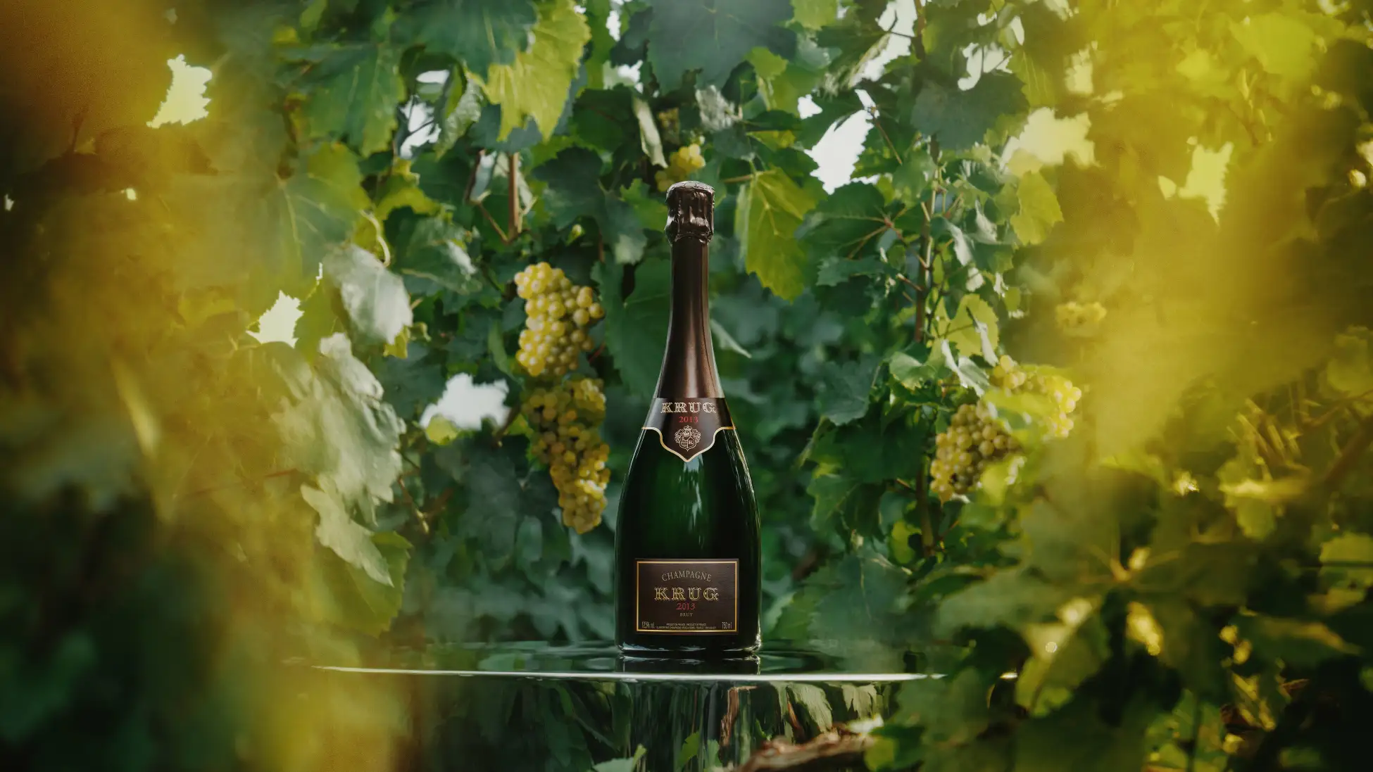 2013年が奏でる“気品ある柑橘”の味わい 新ヴィンテージ「KRUG 2013」2026年4月より順次発売