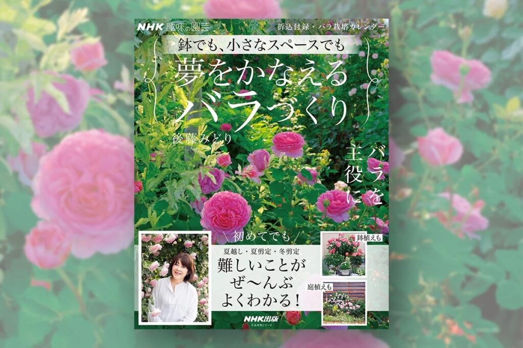 後藤みどりさんが教える、初めてでも安心のバラ栽培。『NHK趣味の園芸　鉢でも、小さなスペースでも 夢をかなえるバラづくり』4月20日発売