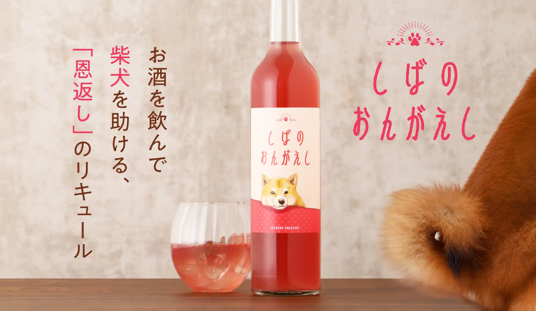 お酒を飲んで保護犬活動を支援する「しばのおんがえし」プロジェクトを開始